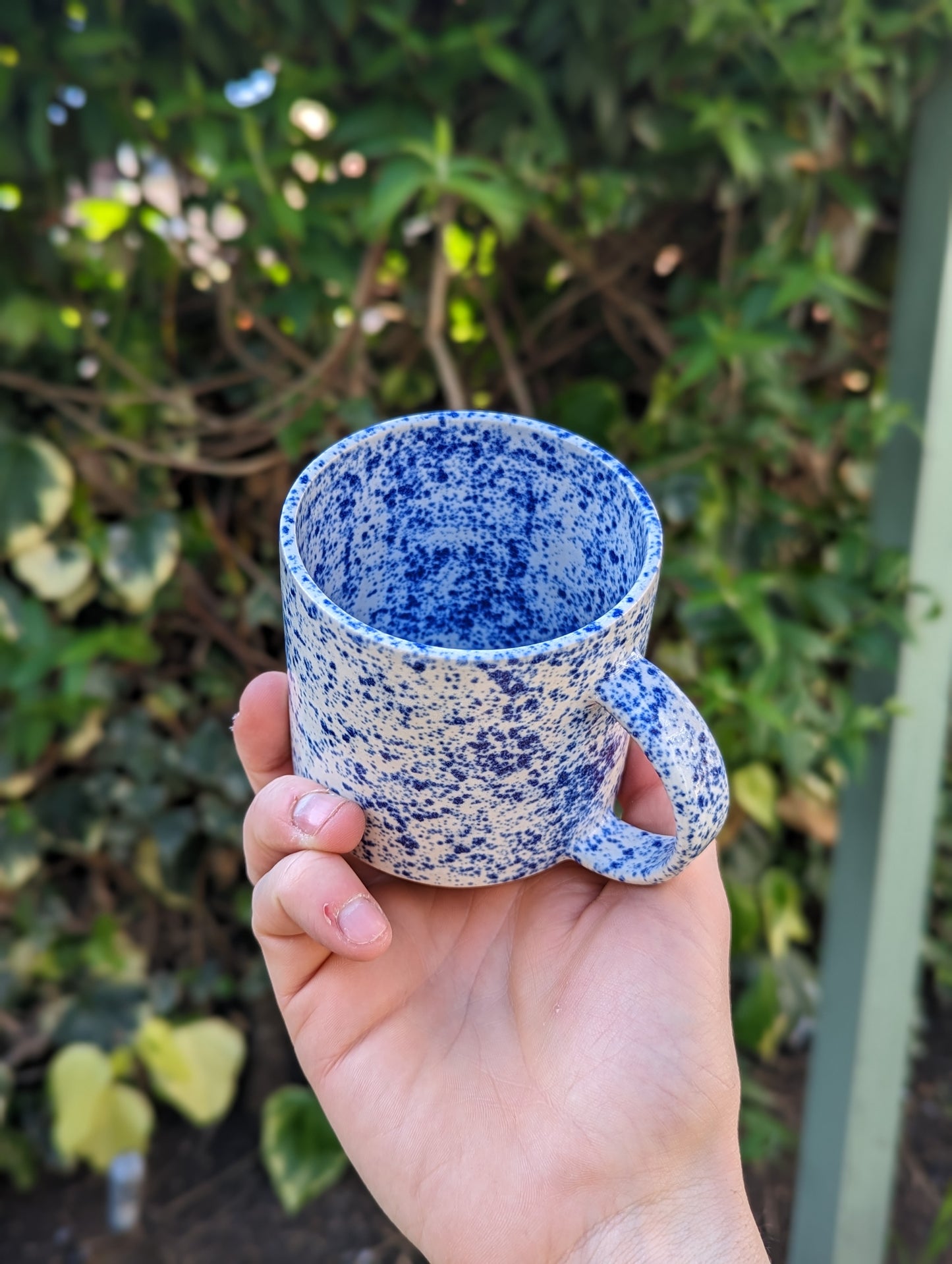 The Mug